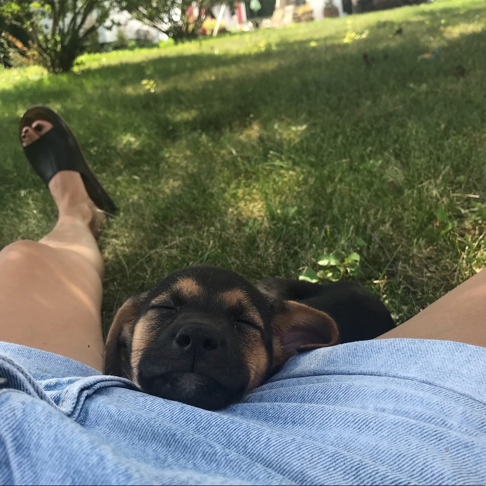 Meet your Posher, Alexandra